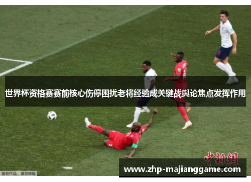 世界杯资格赛赛前核心伤停困扰老将经验成关键战舆论焦点发挥作用